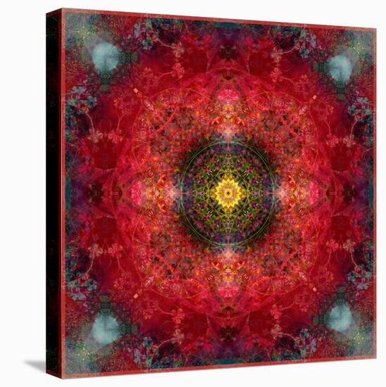 An Energetic Symmetric Onament from Flower Photographs-Alaya Gadeh-Stretched Canvas