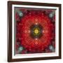 An Energetic Symmetric Onament from Flower Photographs-Alaya Gadeh-Framed Photographic Print