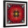 An Energetic Symmetric Onament from Flower Photographs-Alaya Gadeh-Framed Photographic Print