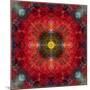 An Energetic Symmetric Onament from Flower Photographs-Alaya Gadeh-Mounted Photographic Print