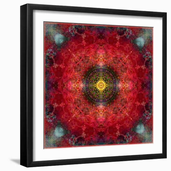 An Energetic Symmetric Onament from Flower Photographs-Alaya Gadeh-Framed Photographic Print