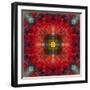 An Energetic Symmetric Onament from Flower Photographs-Alaya Gadeh-Framed Photographic Print