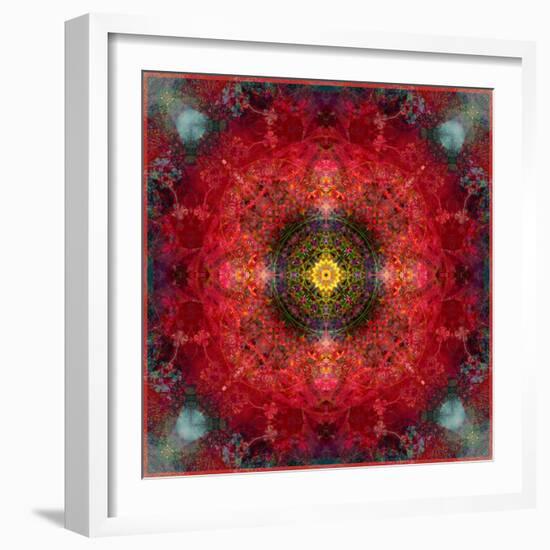 An Energetic Symmetric Onament from Flower Photographs-Alaya Gadeh-Framed Photographic Print