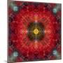 An Energetic Symmetric Onament from Flower Photographs-Alaya Gadeh-Mounted Photographic Print