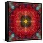 An Energetic Symmetric Onament from Flower Photographs-Alaya Gadeh-Framed Stretched Canvas