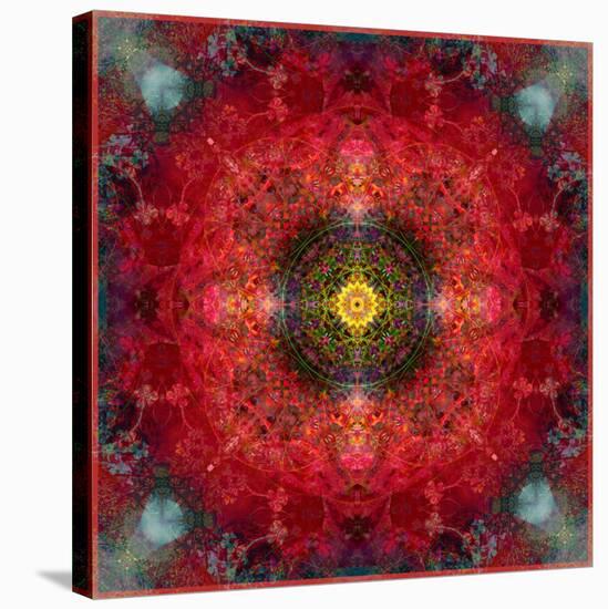 An Energetic Symmetric Onament from Flower Photographs-Alaya Gadeh-Stretched Canvas