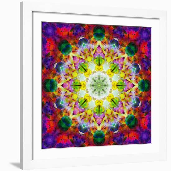 An Energetic Symmetric Onament from Flower Photographs-Alaya Gadeh-Framed Photographic Print