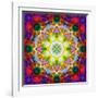 An Energetic Symmetric Onament from Flower Photographs-Alaya Gadeh-Framed Photographic Print