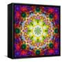 An Energetic Symmetric Onament from Flower Photographs-Alaya Gadeh-Framed Stretched Canvas