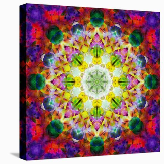 An Energetic Symmetric Onament from Flower Photographs-Alaya Gadeh-Stretched Canvas