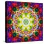 An Energetic Symmetric Onament from Flower Photographs-Alaya Gadeh-Stretched Canvas