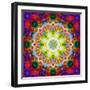 An Energetic Symmetric Onament from Flower Photographs-Alaya Gadeh-Framed Photographic Print