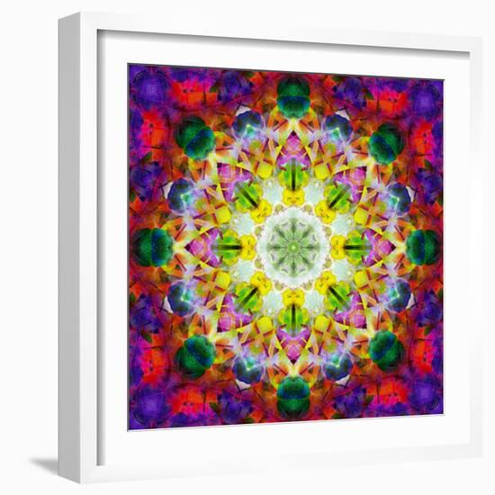 An Energetic Symmetric Onament from Flower Photographs-Alaya Gadeh-Framed Photographic Print