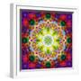 An Energetic Symmetric Onament from Flower Photographs-Alaya Gadeh-Framed Photographic Print