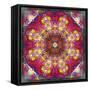 An Energetic Symmetric Onament from Flower Photographs-Alaya Gadeh-Framed Stretched Canvas