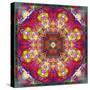 An Energetic Symmetric Onament from Flower Photographs-Alaya Gadeh-Stretched Canvas