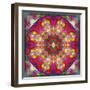 An Energetic Symmetric Onament from Flower Photographs-Alaya Gadeh-Framed Photographic Print