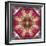 An Energetic Symmetric Onament from Flower Photographs-Alaya Gadeh-Framed Photographic Print