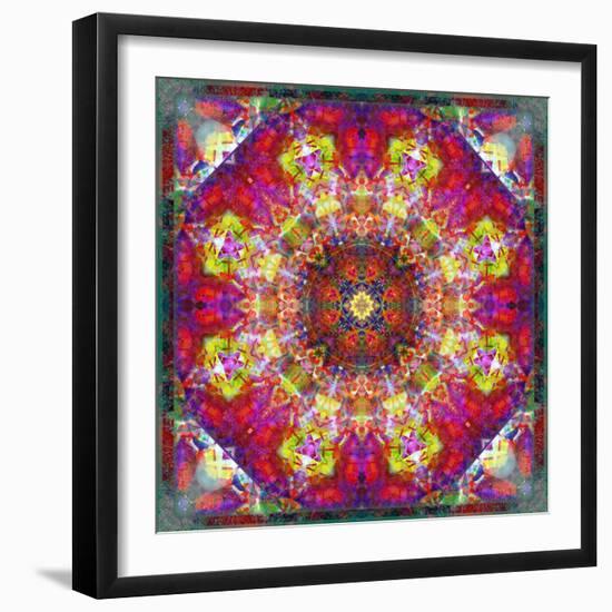 An Energetic Symmetric Onament from Flower Photographs-Alaya Gadeh-Framed Photographic Print