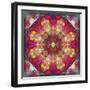 An Energetic Symmetric Onament from Flower Photographs-Alaya Gadeh-Framed Photographic Print