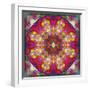 An Energetic Symmetric Onament from Flower Photographs-Alaya Gadeh-Framed Photographic Print