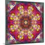 An Energetic Symmetric Onament from Flower Photographs-Alaya Gadeh-Mounted Photographic Print