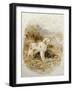 An English and a Gordon Setter-Basil Bradley-Framed Giclee Print