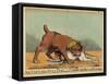 An English Bull Dog and a Corsican Blood Hound, C.1803-null-Framed Stretched Canvas