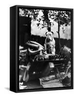 An English Bulldog Perches on a Junk Pile, Ca. 1930-null-Framed Stretched Canvas