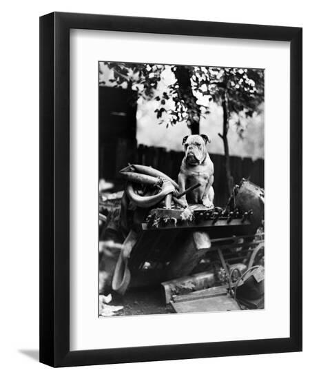 Premium Photographic Print, , large