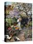An English Cottage Garden-William Stephen Coleman-Stretched Canvas
