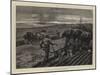 An English Ploughing Match-William Small-Mounted Giclee Print