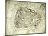 An Engraved Plan of Vienna, 1770-Joseph Anton Nagel-Mounted Giclee Print