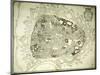 An Engraved Plan of Vienna, 1770-Joseph Anton Nagel-Mounted Giclee Print