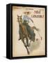 An Enthusiastic Lady Polo Player-null-Framed Stretched Canvas