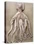 An Entire Octopus-Sarka Babicka-Stretched Canvas