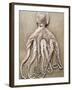 An Entire Octopus-Sarka Babicka-Framed Photographic Print