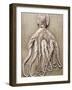 An Entire Octopus-Sarka Babicka-Framed Photographic Print