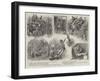 An Episode of the Campaign in Upper Burma-William Ralston-Framed Giclee Print