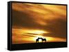 An Equine Kiss-Adrian Campfield-Framed Stretched Canvas