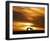 An Equine Kiss-Adrian Campfield-Framed Premium Photographic Print