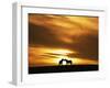 An Equine Kiss-Adrian Campfield-Framed Photographic Print