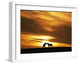 An Equine Kiss-Adrian Campfield-Framed Photographic Print