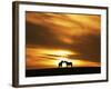 An Equine Kiss-Adrian Campfield-Framed Photographic Print