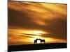 An Equine Kiss-Adrian Campfield-Mounted Photographic Print