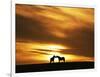 An Equine Kiss-Adrian Campfield-Framed Photographic Print