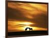 An Equine Kiss-Adrian Campfield-Framed Photographic Print
