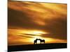 An Equine Kiss-Adrian Campfield-Mounted Photographic Print