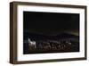 An Evening in Kenya-null-Framed Art Print