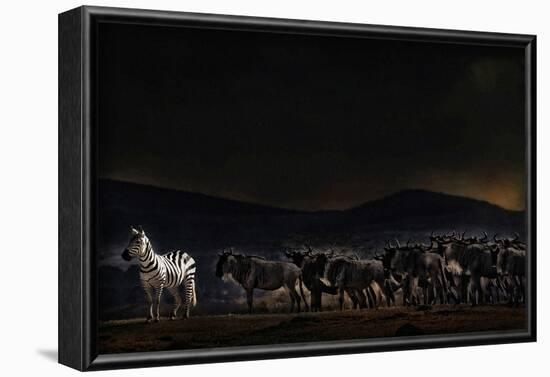 An Evening in Kenya-null-Framed Art Print